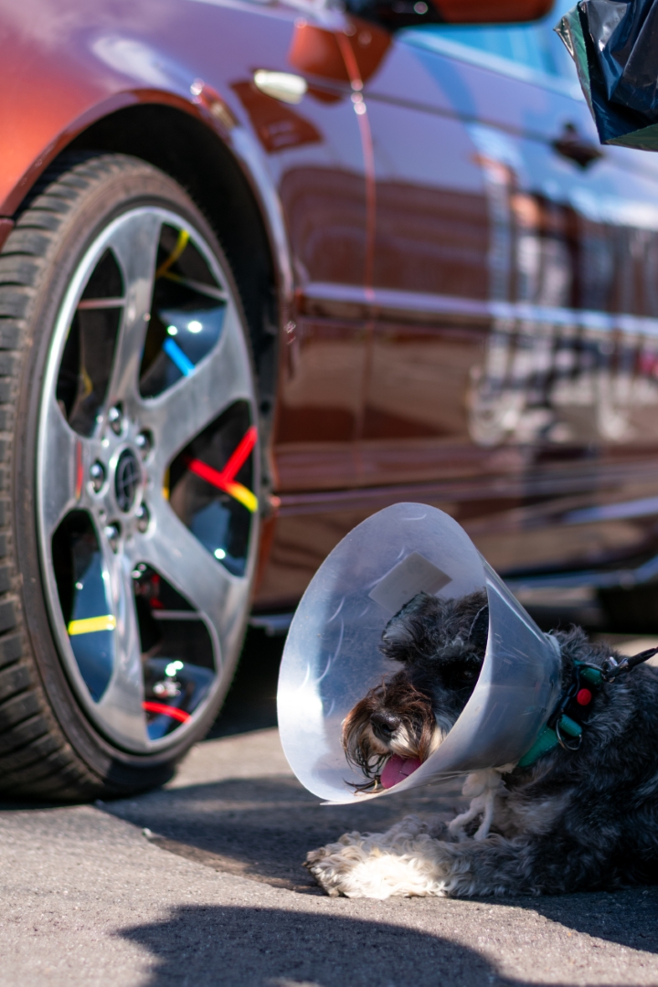 Memel Bass dB Drag #2 | 2025